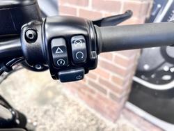 2019 Harley-Davidson Iron 883 (XL883N) Sportster Black