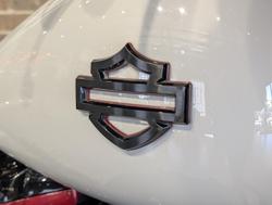 2020 Harley-Davidson CVO Street Glide 117 (FLHXSE) Touring