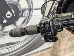 2020 Harley-Davidson CVO Street Glide 117 (FLHXSE) Touring