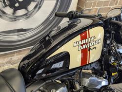 2013 Harley-Davidson Forty-Eight (XL1200X) Sportster