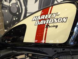 2013 Harley-Davidson Forty-Eight (XL1200X) Sportster