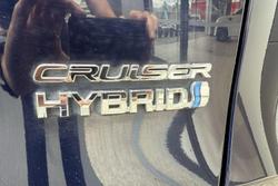 2019 Toyota RAV4 Cruiser