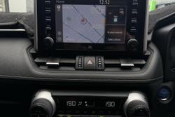 2019 Toyota RAV4 Cruiser