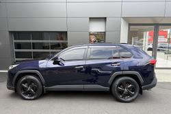 2019 Toyota RAV4 Cruiser