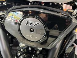 2025 Harley-davidson FLHX STREET GLIDE (117) White Onyx Pearl