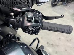 2025 Harley-davidson FLHX STREET GLIDE (117) Iron Horse Metallic