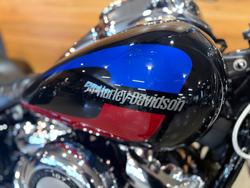 2017 Harley-davidson FXLR LOW RIDER