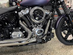 2025 Harley-Davidson Street Bob 117 (FXBB) Softail Purple