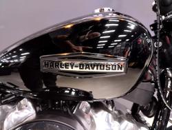 2025 Harley-Davidson Street Bob 117 (FXBB) Softail Black