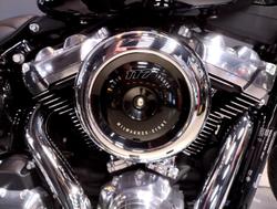 2025 Harley-Davidson Street Bob 117 (FXBB) Softail Black