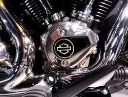 2025 Harley-Davidson Street Bob 117 (FXBB) Softail Black