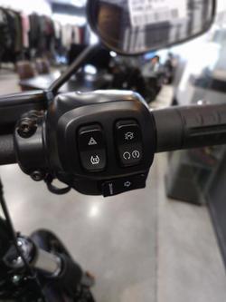 2025 Harley-Davidson Street Bob 117 (FXBB) Softail Purple