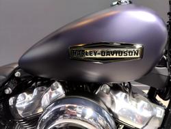 2025 Harley-Davidson Street Bob 117 (FXBB) Softail Purple