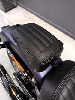 2025 Harley-Davidson Street Bob 117 (FXBB) Softail Purple