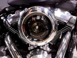 2025 Harley-Davidson Street Bob 117 (FXBB) Softail Purple