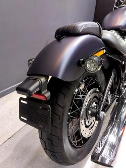 2025 Harley-Davidson Street Bob 117 (FXBB) Softail Purple