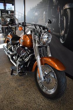 2014 Harley-davidson FLSTF FAT BOY GOLD