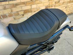 2024 HARLEY-DAVIDSON X 500 ROAD SILVER