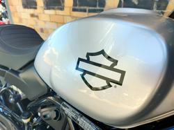 2024 HARLEY-DAVIDSON X 500 ROAD SILVER