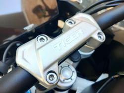 2026 TRIUMPH TIGER 1200 RALLY PRO ROAD MATT KHAKI