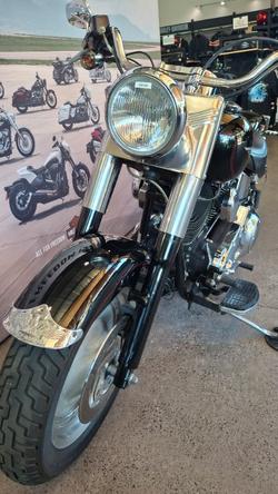 2002 Harley-davidson FLSTF FAT BOY Black