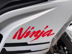 2026 Kawasaki 2026 Kawasaki 650CC NINJA 650 LAMS GREY