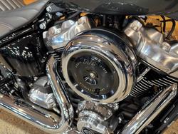 2025 Harley-davidson FXBB STREET BOB (117) IRON HORSE