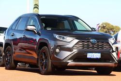 2020 Toyota RAV4 Cruiser