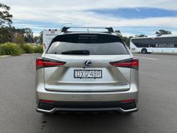 2019 Lexus NX 300h Luxury