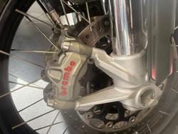 2023 Ducati Desert X