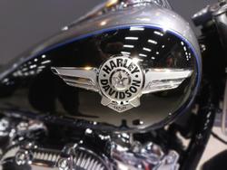 2021 Harley-Davidson Fat Boy 114 (FLFBS) Softail Black