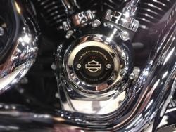 2021 Harley-Davidson Fat Boy 114 (FLFBS) Softail Black