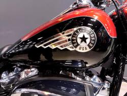 2025 Harley-Davidson Fat Boy 117 (FLFB) Softail Black