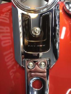 2025 Harley-Davidson Fat Boy 117 (FLFB) Softail Black