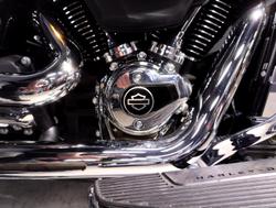 2025 Harley-Davidson Fat Boy 117 (FLFB) Softail Black