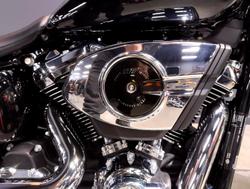 2025 Harley-Davidson Fat Boy 117 (FLFB) Softail Black