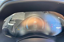 2021 GWM Ute Cannon-X