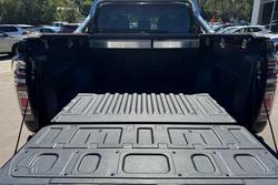 2021 GWM Ute Cannon-X