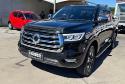 2021 GWM Ute Cannon-X