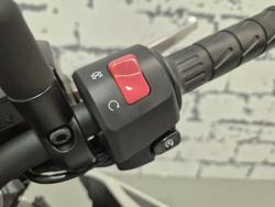 2022 Kawasaki Z900 (ZR900F) Z White