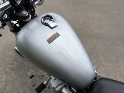 2020 Yamaha XV250 (VIRAGO VX250S, VX250R) Silver