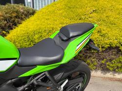 2024 Kawasaki NINJA 400 ZX-4RR KRT Green