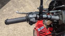 2021 Honda CRF300LRA RALLY Red