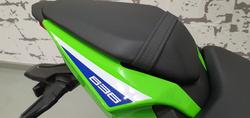 2025 Kawasaki Ninja ZX-6R ABS (636) Ninja Green