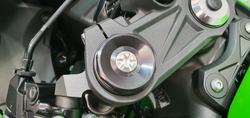 2025 Kawasaki Ninja ZX-6R ABS (636) Ninja Green