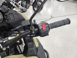 2022 Kawasaki KLR650 (KL650) Green