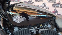 2018 Harley-davidson XG500 STREET 500 Black