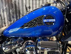 2025 Harley-davidson FXLRST LOW RIDER ST (117) Blue Burst