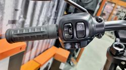 2025 Harley-davidson FXLRS LOW RIDER S (117) Iron Horse Metallic