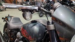 2025 Harley-davidson FXLRS LOW RIDER S (117) Iron Horse Metallic